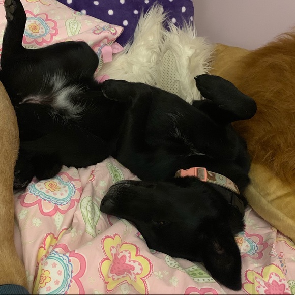 Meet your Posher, Gillian - Picture 4 of 5